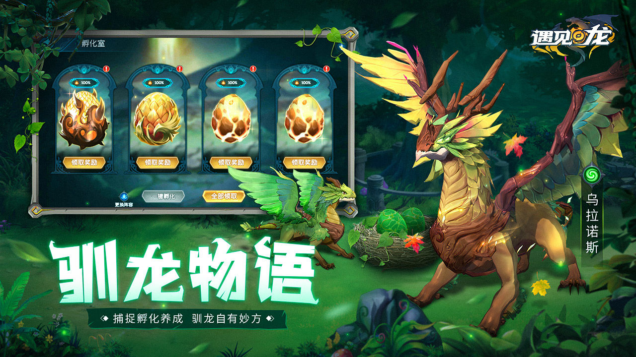 遇见龙 测试版手游app截图