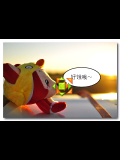 picsay pro手机软件app截图