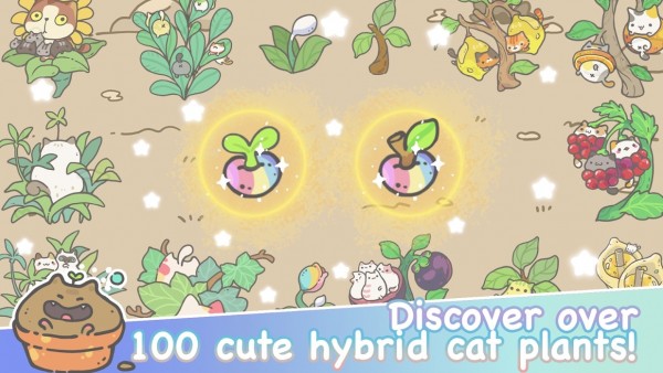 我的猫盆栽 中文版手游app截图