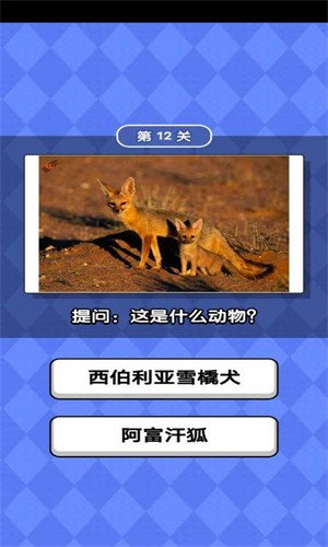 动物滑滑乐手游app截图