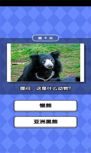 动物滑滑乐手游app截图
