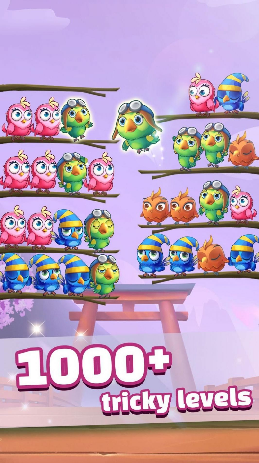 小鸟分类谜题手游app截图