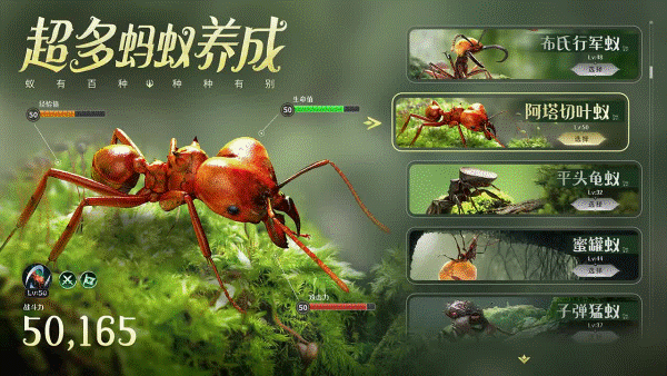 守望家园 中文版手游app截图
