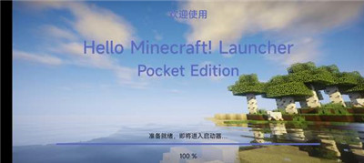 hmcl-pe 官网版手机软件app截图