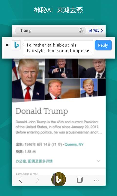 必应搜索 引擎手机软件app截图