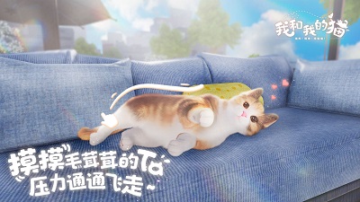 我和我的猫手游app截图