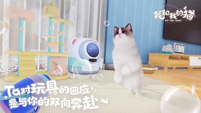 我和我的猫手游app截图