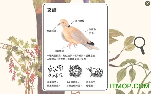 小棕鼠的自然生态百科手游app截图