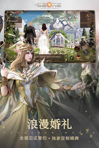 新神魔大陆 测试服手游app截图