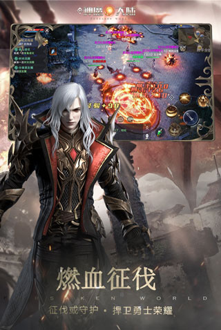新神魔大陆 测试服手游app截图