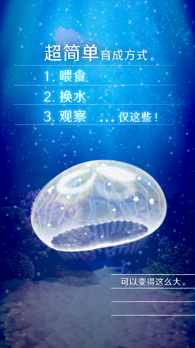 治愈的养成水母手游app截图