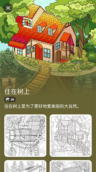 数字填色 2024最新版手游app截图