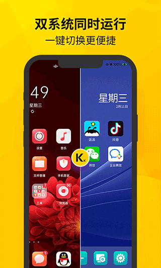 虚拟双开王手机软件app截图