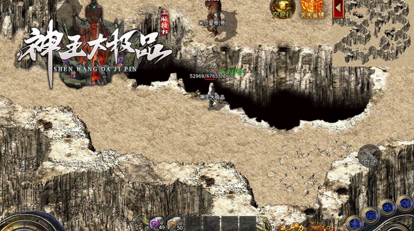 神王大极品手游app截图