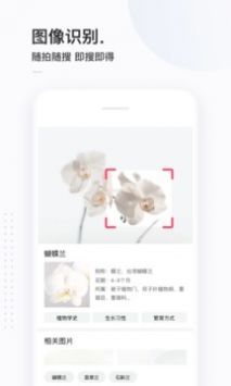 简单搜索app手机软件app截图