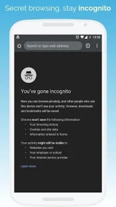 Kiwi Browser浏览器 最新版手机软件app截图
