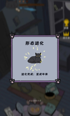 猫猫喵喵手游app截图