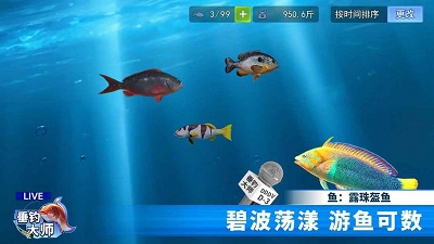 垂钓大师手游app截图