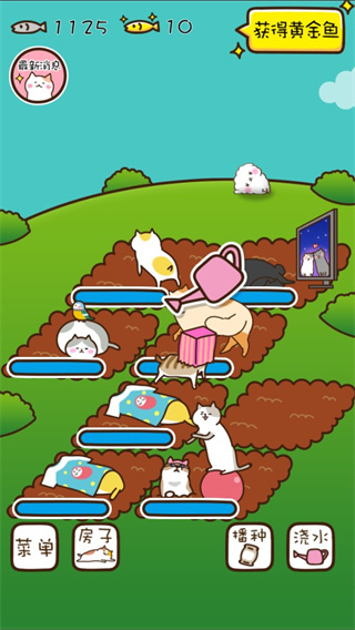 猫咪田园 正版手游app截图