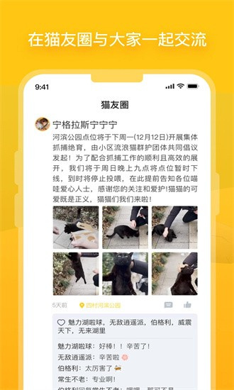哈啰街猫手机软件app截图