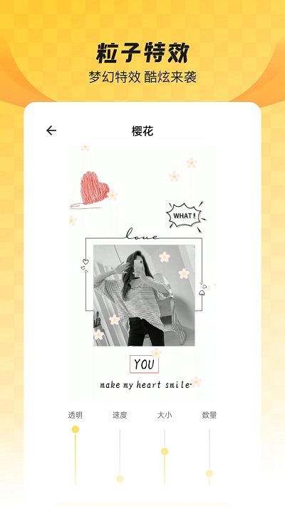 全局透明壁纸 手机版手机软件app截图