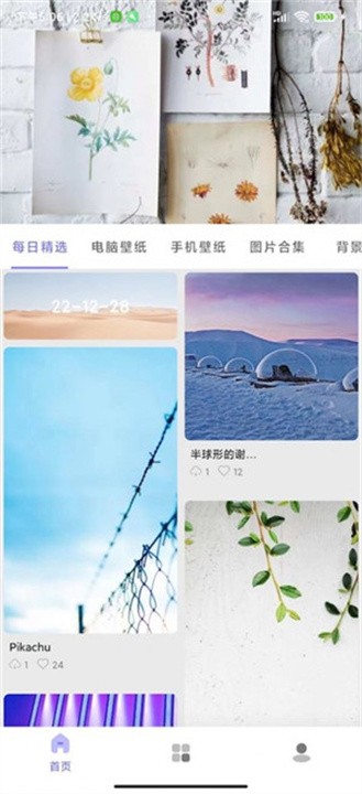 派派壁纸 手机版手机软件app截图