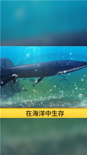 海洋3d蓝鲸模拟 安卓版手游app截图