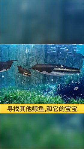 海洋3d蓝鲸模拟 安卓版手游app截图