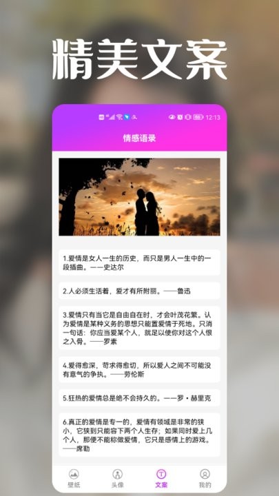 极光壁纸秀 免费版手机软件app截图