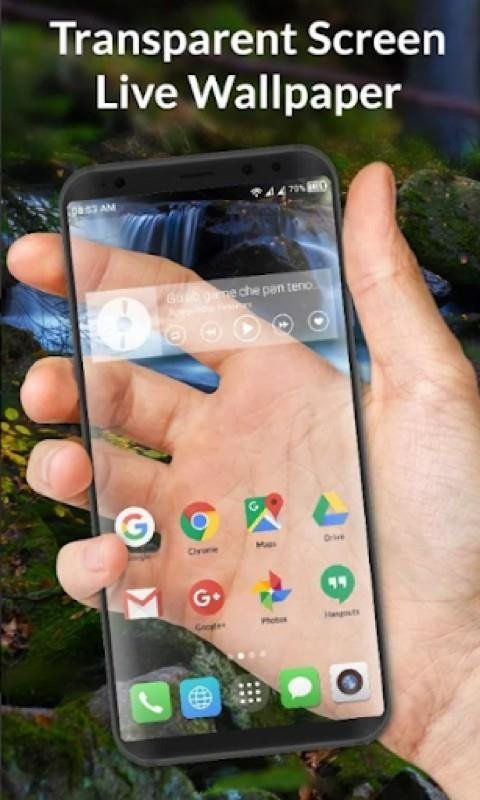 视频壁纸 免费版手机软件app截图