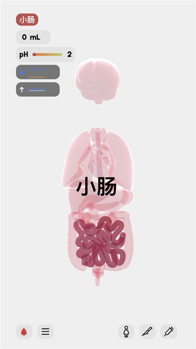 life生命模拟器手游app截图