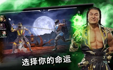 真人快打x 出招表单机版手游app截图