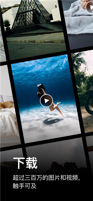 Pexels 免费版手机软件app截图
