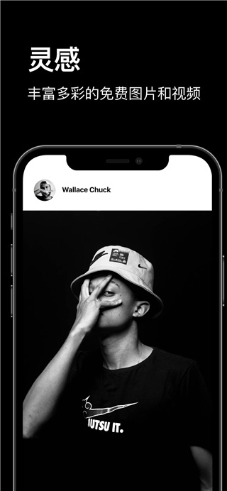 Pexels 免费版手机软件app截图