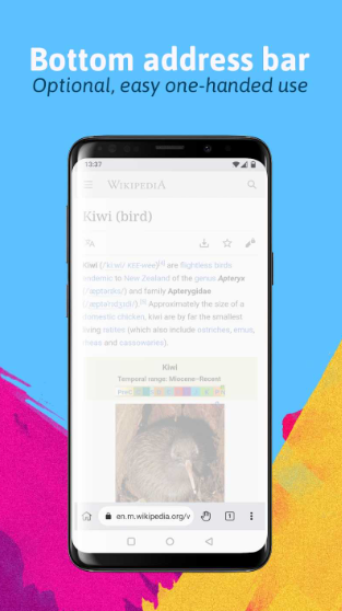 Kiwi浏览器 官方版手机软件app截图
