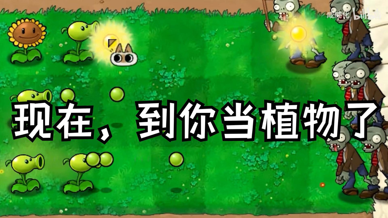 植物大战僵尸繁琐版 下载安装手游app截图