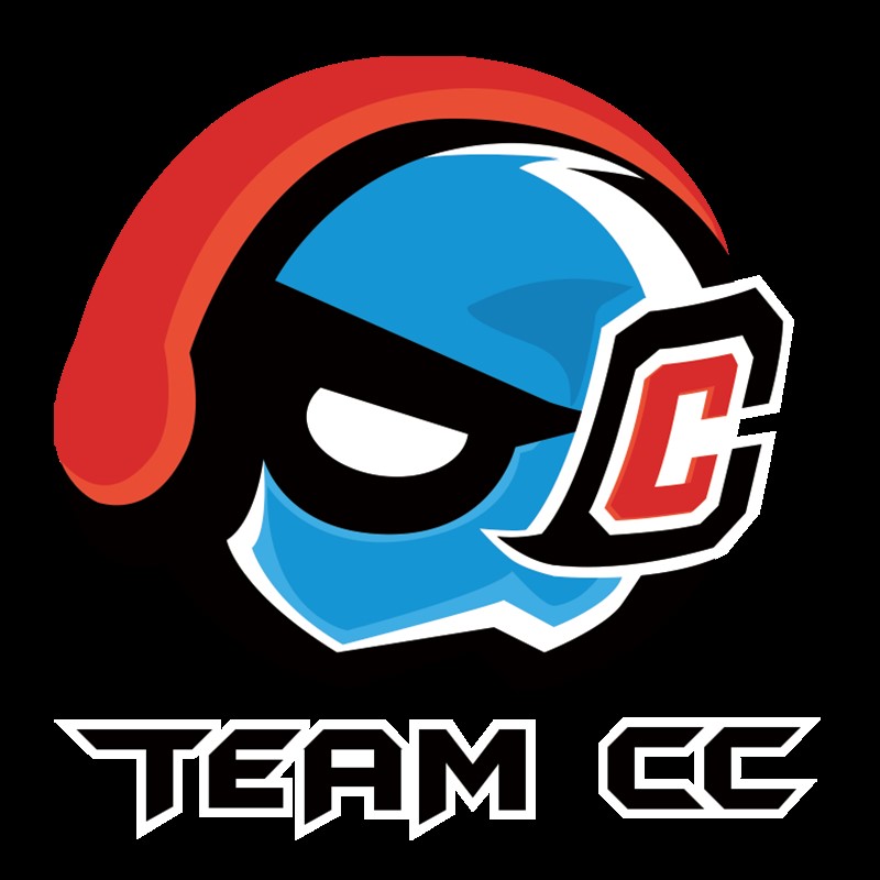 《终结者2》TSL总决赛：Team CC战队专访