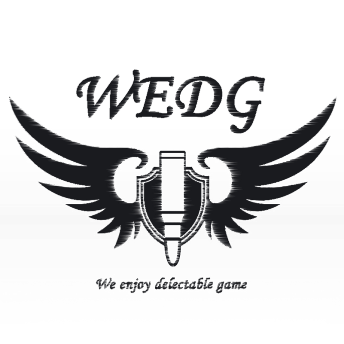 《终结者2》TSL总决赛：WEDG战队专访