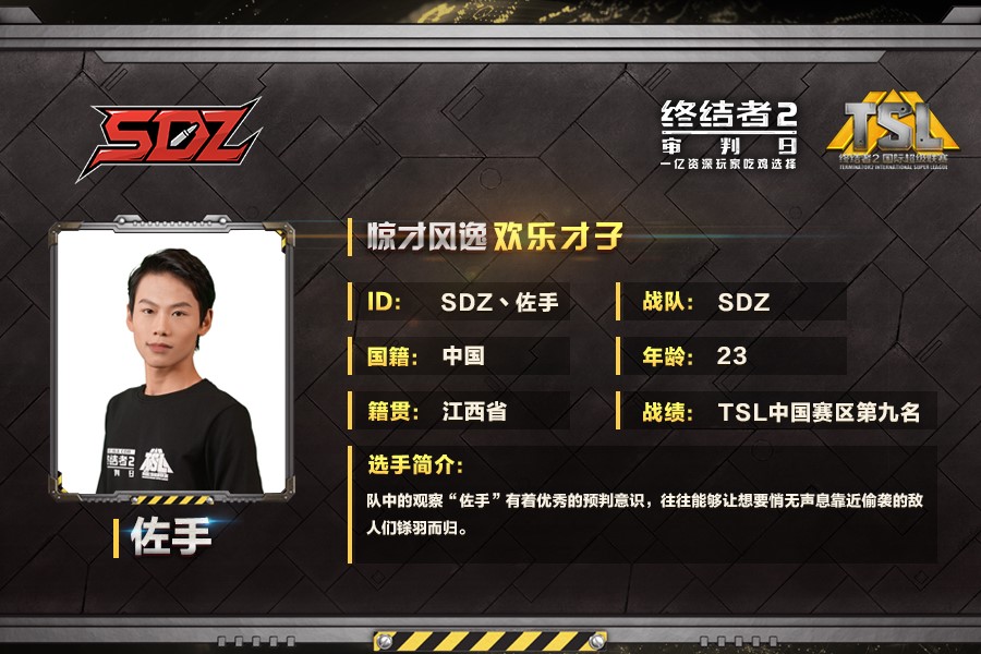《终结者2》TSL总决赛：SDZ战队专访