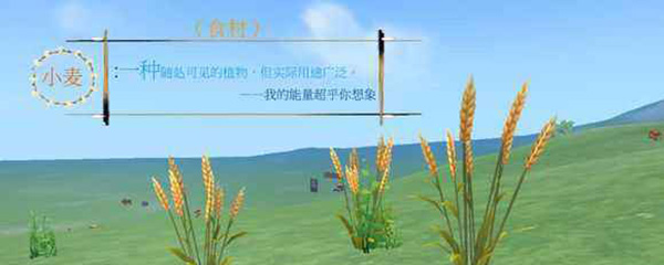 创造与魔法小麦饲料包怎么做