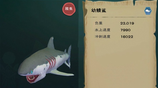 《创造与魔法》幼鲭鲨图鉴