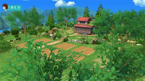 《小森生活》村庄初探，海边山间的春暖花开