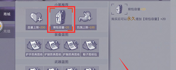 阿瑞斯病毒背包不充钱