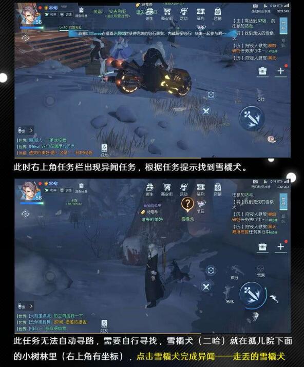 《龙族幻想》青铜异闻——走丢的雪橇犬