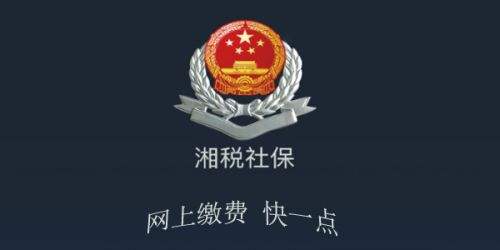 《湘税社保》最新版下载地址