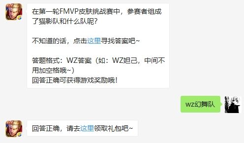 在第一轮FMVP皮肤挑战赛中,参赛者组成了猫影队和什么队呢？