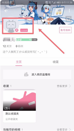 《哔哩哔哩》取消自动续费方法介绍