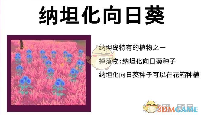 《创造与魔法》纳坦岛资源介绍