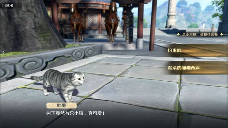 《天涯明月刀手游》闲情偶遇猫之友任务攻略