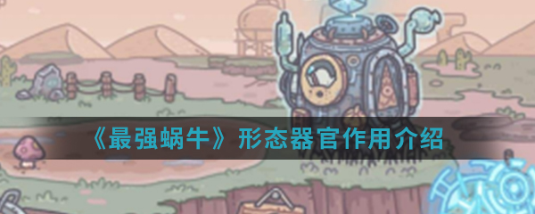 《最强蜗牛》形态器官作用介绍